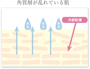 角質層が乱れている肌